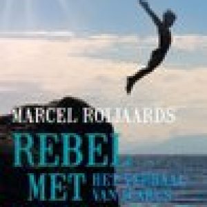 Rebel met vleugels – Marcel Roijaards