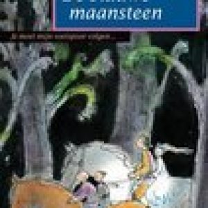 Blauwe maansteen – Tonke Dragt