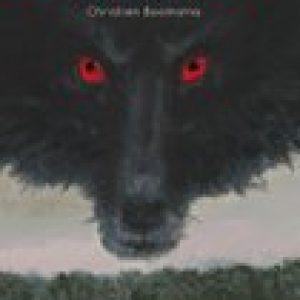 Schaduwloper – Christien Boomsma