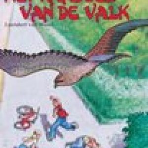 De Valkeniers serie 1 – Het raadsel van de valk – Leendert van Wezel