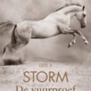 Storm 3 – De vuurproef – Lauren St John