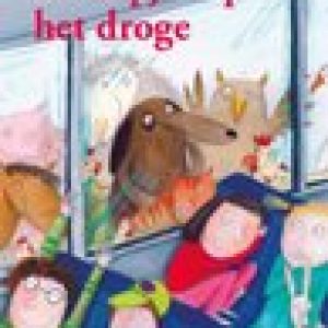 Bolleboos Plus – Schaapjes op het droge – Bavo Dhooge