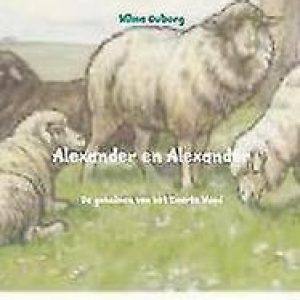Alexander en Alexander. de geheimen van het Zwarte Woud, Ouborg, Wilma, Paperback