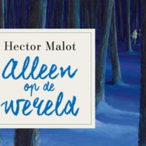 Alleen op de wereld DL. Malot, Hector, Paperback