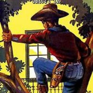 Arendsoog grijpt in. Jan Nowee, Paperback