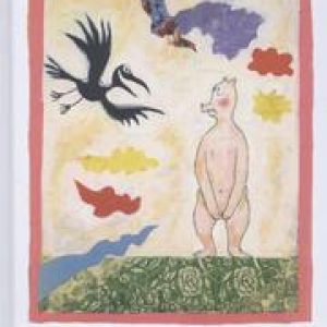 Blote beer. Daan Remmerts De Vries, Hardcover