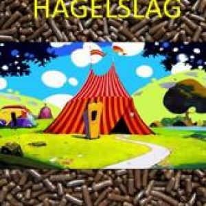 Circus Hagelslag. Diederen, Jean, Paperback