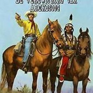 De verdwijning van Arendsoog. Nowee, Paul, Paperback