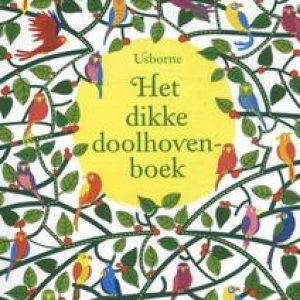 Het dikke doolhovenboek. Usborne, Paperback
