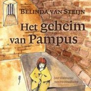 Het geheim van Pampus. Steijn, Belinda van, Paperback