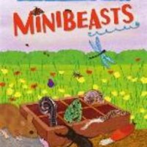 Curiosity Box: Minibeasts. Peter Riley, Paperback