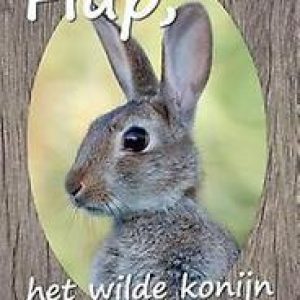 Flup, het wilde konijn. Wonink, Harry, Paperback