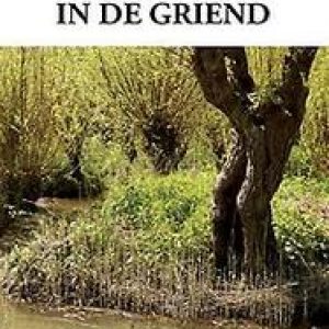 Gevangen in de griend. Hemmes, Gerrit, Paperback
