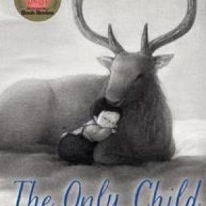 The Only Child. Guojing, Hardcover