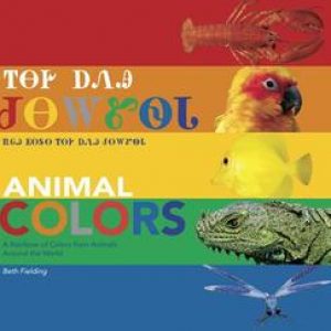 Animal Colors (Cherokee/English Bilingual). A Rainbow of Colors from Animals Around the World, Beth Fielding, Kartonboek