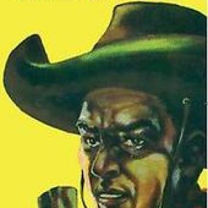 Arendsoog. Nowee, Jan, Hardcover