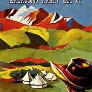 Arendsoog knapt het op. Nowee, Jan, Paperback