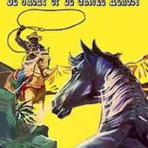 De jacht op de grijze hengst. Nowee, Jan, Paperback