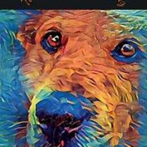 Tilley en de regenboogbrug. Nandita Doelam, Paperback