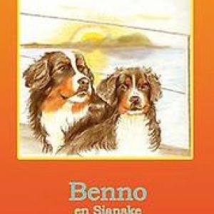 Benno en Sjanske. Stok, Hermien, Paperback