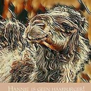 Hannie is geen hamburger!. Schouwenberg, Gertie, Paperback