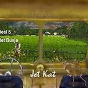 Het Busje. Kat, Jet, Paperback